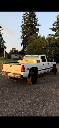 IMG_2393